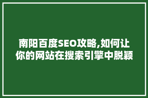 南阳百度SEO攻略,如何让你的网站在搜索引擎中脱颖而出