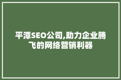 平潭SEO公司,助力企业腾飞的网络营销利器
