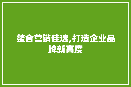 整合营销佳选,打造企业品牌新高度
