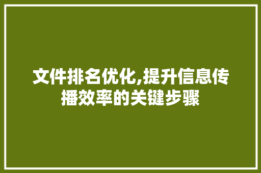 文件排名优化,提升信息传播效率的关键步骤