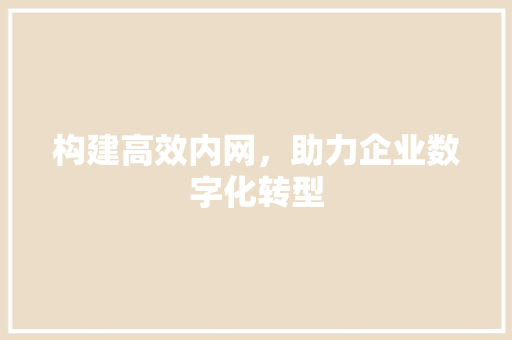 构建高效内网，助力企业数字化转型