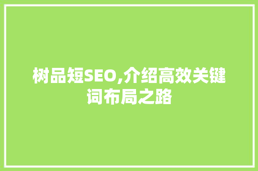 树品短SEO,介绍高效关键词布局之路