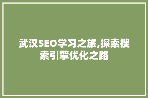 武汉SEO学习之旅,探索搜索引擎优化之路
