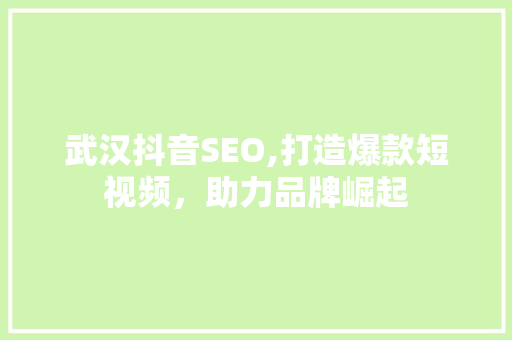 武汉抖音SEO,打造爆款短视频，助力品牌崛起