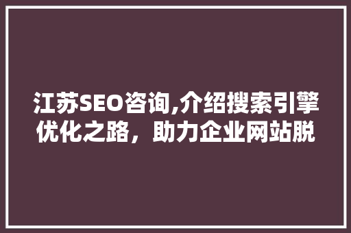 江苏SEO咨询,介绍搜索引擎优化之路，助力企业网站脱颖而出
