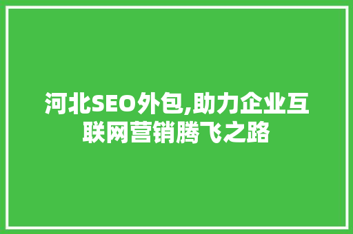 河北SEO外包,助力企业互联网营销腾飞之路