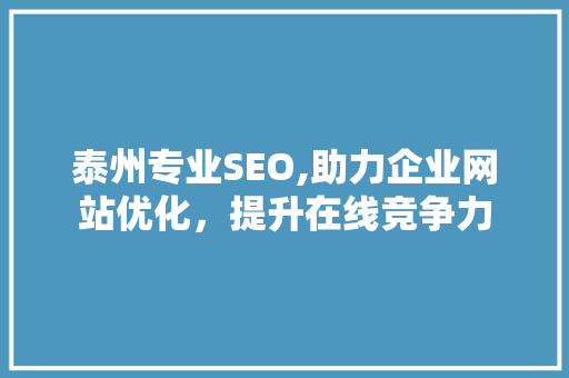 泰州专业SEO,助力企业网站优化，提升在线竞争力