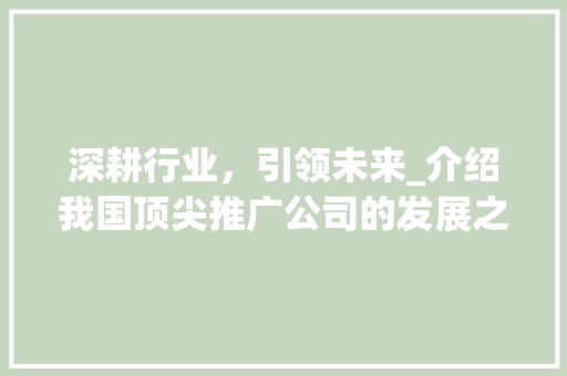 深耕行业，引领未来_介绍我国顶尖推广公司的发展之路