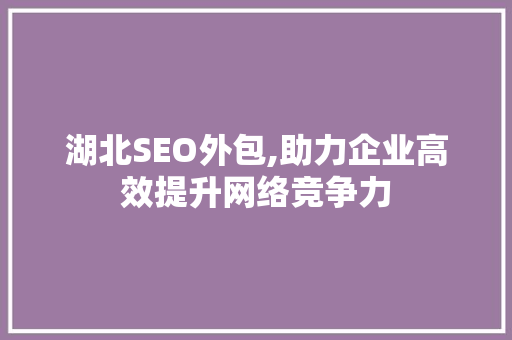 湖北SEO外包,助力企业高效提升网络竞争力