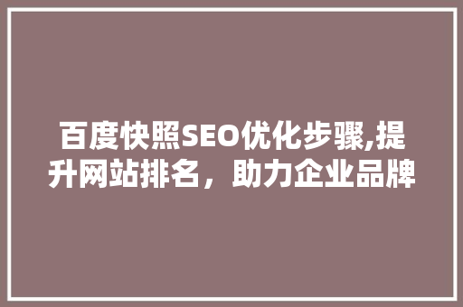 百度快照SEO优化步骤,提升网站排名，助力企业品牌传播