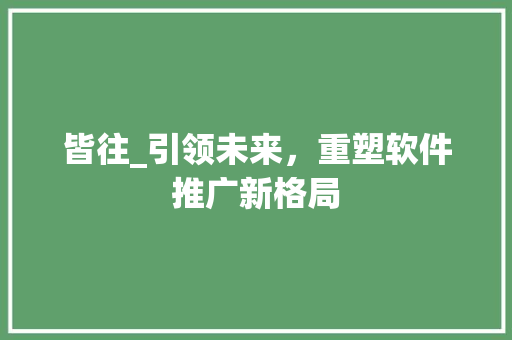 皆往_引领未来，重塑软件推广新格局