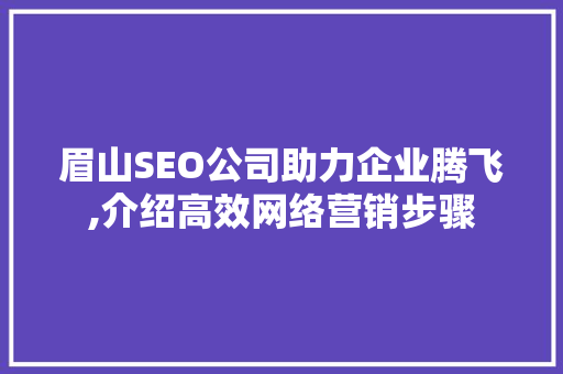 眉山SEO公司助力企业腾飞,介绍高效网络营销步骤