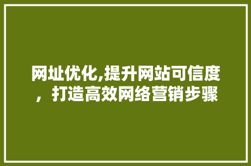 网址优化,提升网站可信度，打造高效网络营销步骤