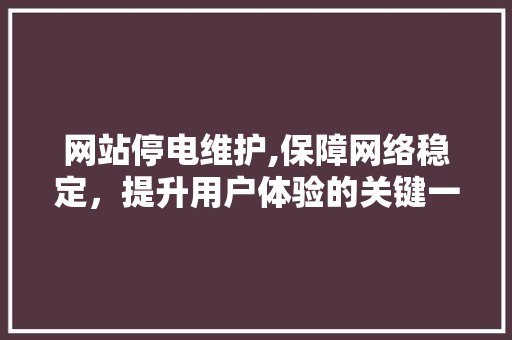 网站停电维护,保障网络稳定，提升用户体验的关键一环