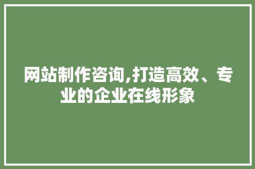 网站制作咨询,打造高效、专业的企业在线形象