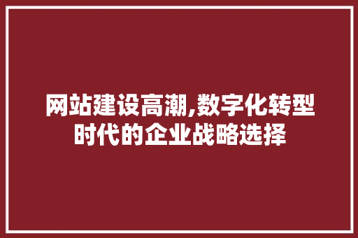 网站建设高潮,数字化转型时代的企业战略选择