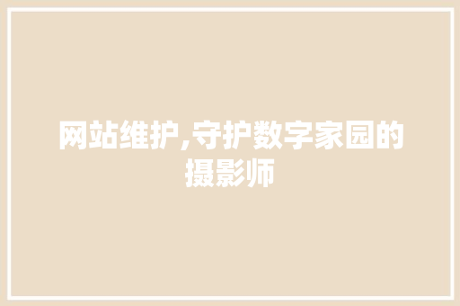 网站维护,守护数字家园的摄影师