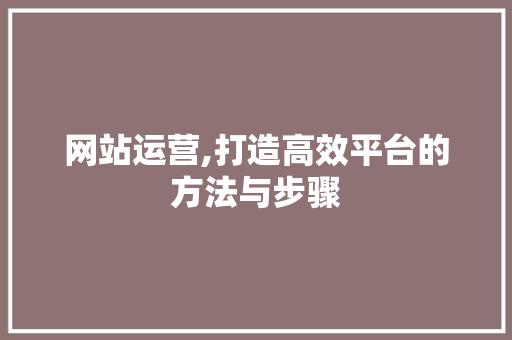 网站运营,打造高效平台的方法与步骤