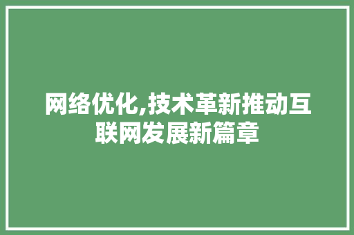 网络优化,技术革新推动互联网发展新篇章