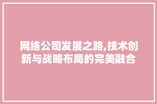 网络公司发展之路,技术创新与战略布局的完美融合