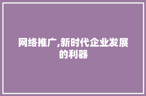 网络推广,新时代企业发展的利器