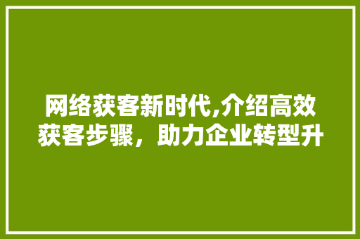 网络获客新时代,介绍高效获客步骤，助力企业转型升级