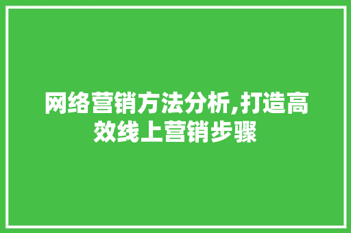 网络营销方法分析,打造高效线上营销步骤