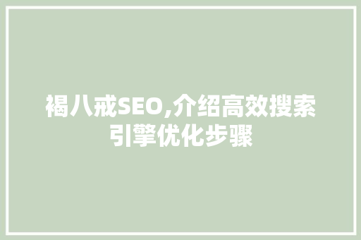 褐八戒SEO,介绍高效搜索引擎优化步骤