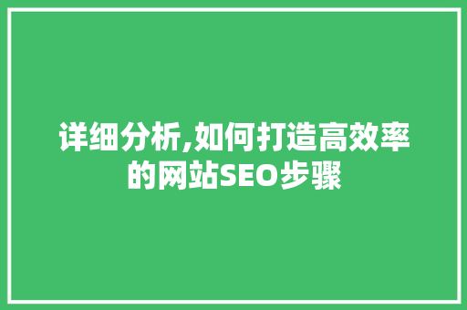 详细分析,如何打造高效率的网站SEO步骤