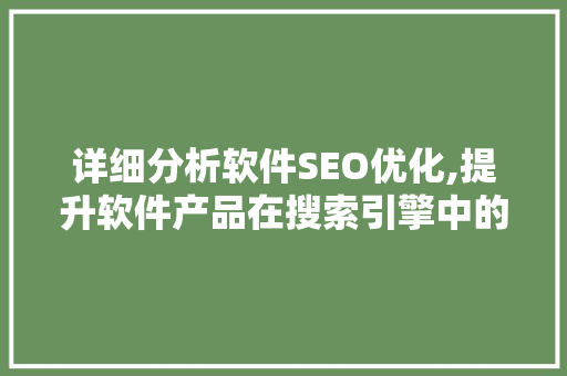 详细分析软件SEO优化,提升软件产品在搜索引擎中的排名步骤