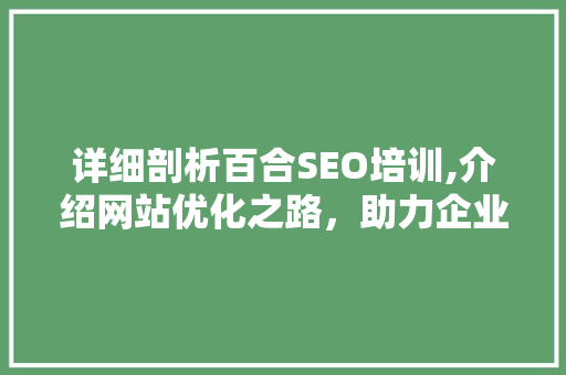 详细剖析百合SEO培训,介绍网站优化之路，助力企业腾飞