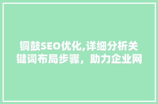 铜鼓SEO优化,详细分析关键词布局步骤，助力企业网站提升排名