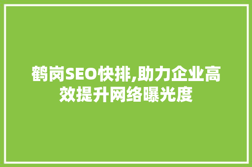 鹤岗SEO快排,助力企业高效提升网络曝光度
