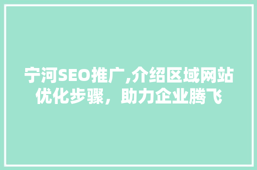 宁河SEO推广,介绍区域网站优化步骤，助力企业腾飞