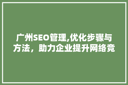广州SEO管理,优化步骤与方法，助力企业提升网络竞争力