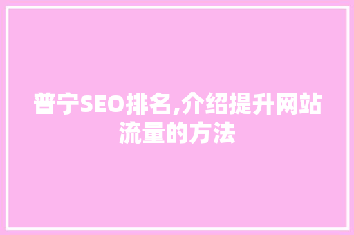 普宁SEO排名,介绍提升网站流量的方法