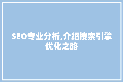 SEO专业分析,介绍搜索引擎优化之路