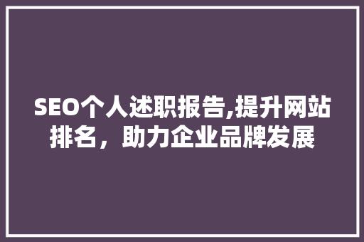 SEO个人述职报告,提升网站排名，助力企业品牌发展