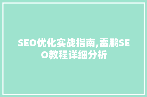 SEO优化实战指南,雷鹏SEO教程详细分析