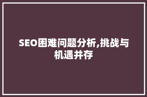 SEO困难问题分析,挑战与机遇并存