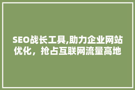 SEO战长工具,助力企业网站优化，抢占互联网流量高地