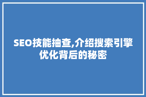 SEO技能抽查,介绍搜索引擎优化背后的秘密
