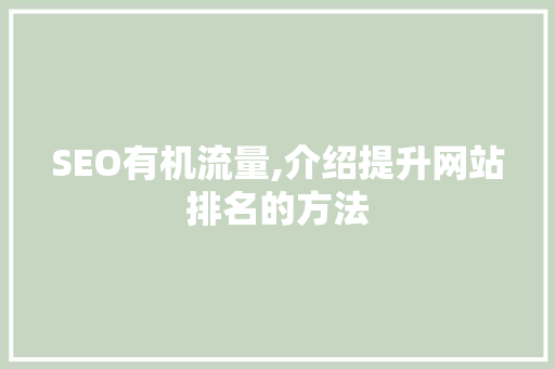 SEO有机流量,介绍提升网站排名的方法