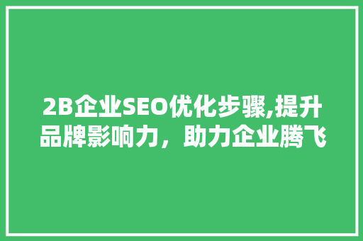 2B企业SEO优化步骤,提升品牌影响力，助力企业腾飞