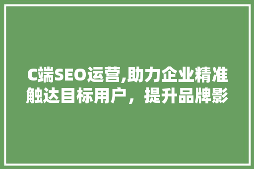 C端SEO运营,助力企业精准触达目标用户，提升品牌影响力