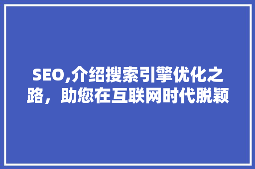 SEO,介绍搜索引擎优化之路，助您在互联网时代脱颖而出
