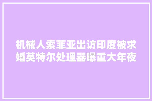 机械人索菲亚出访印度被求婚英特尔处理器曝重大年夜安然马脚