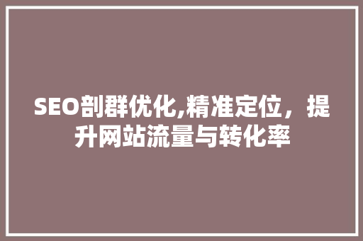 SEO剖群优化,精准定位，提升网站流量与转化率