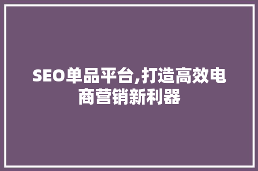 SEO单品平台,打造高效电商营销新利器