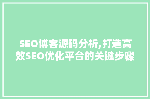 SEO博客源码分析,打造高效SEO优化平台的关键步骤